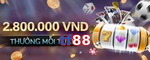 tf88