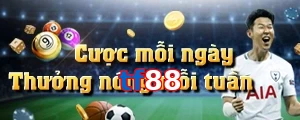 tf88
